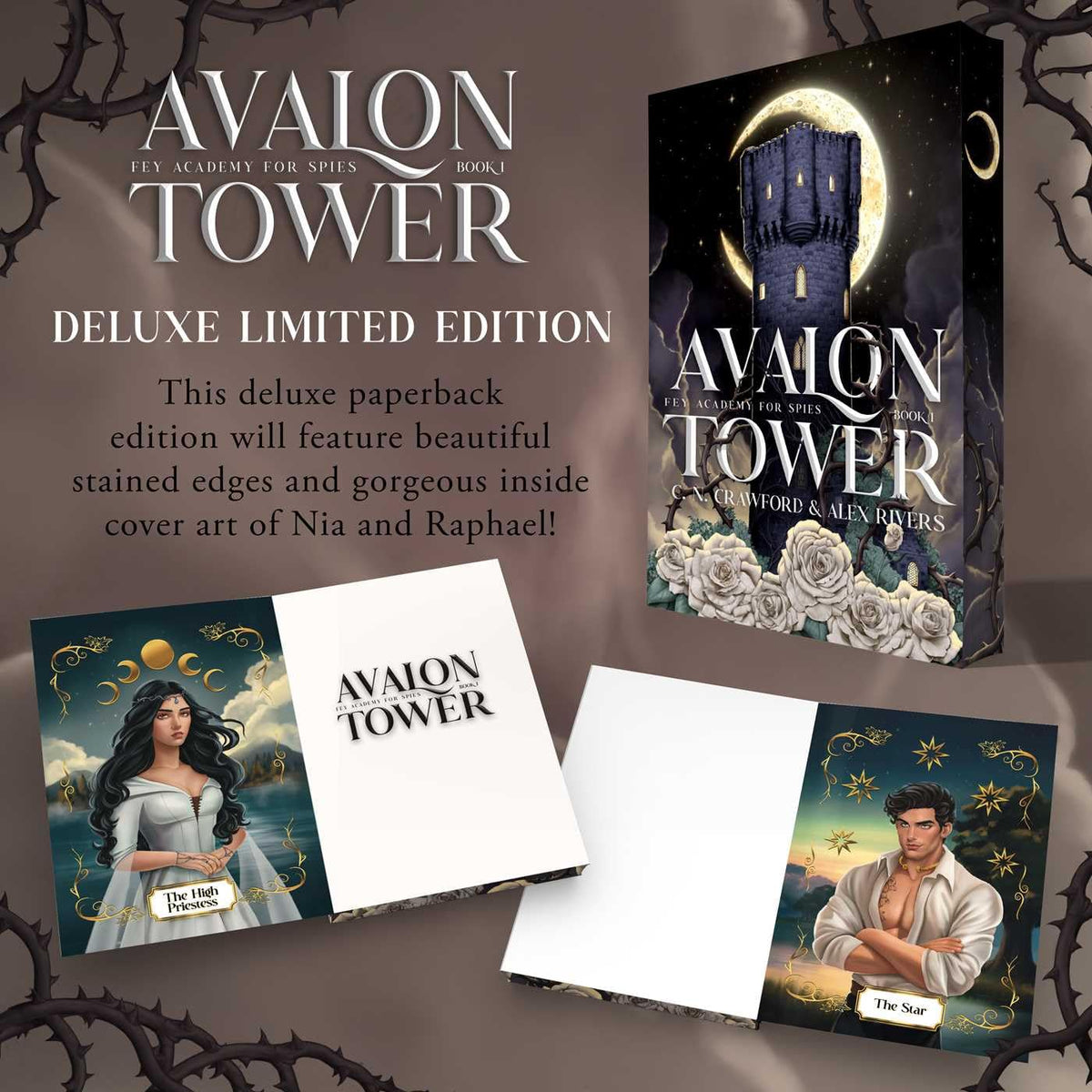 Avalon Tower (Fey Academy for Spies #1) - Sprayed stenciled edges