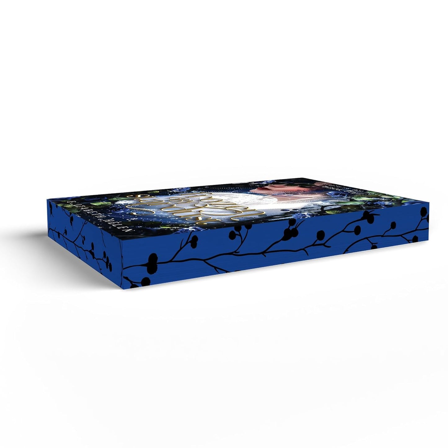Frozen by Stardust (Deluxe Edition): A Why Choose Beauty and the Beast retelling (Beasts of the Briar, 5)