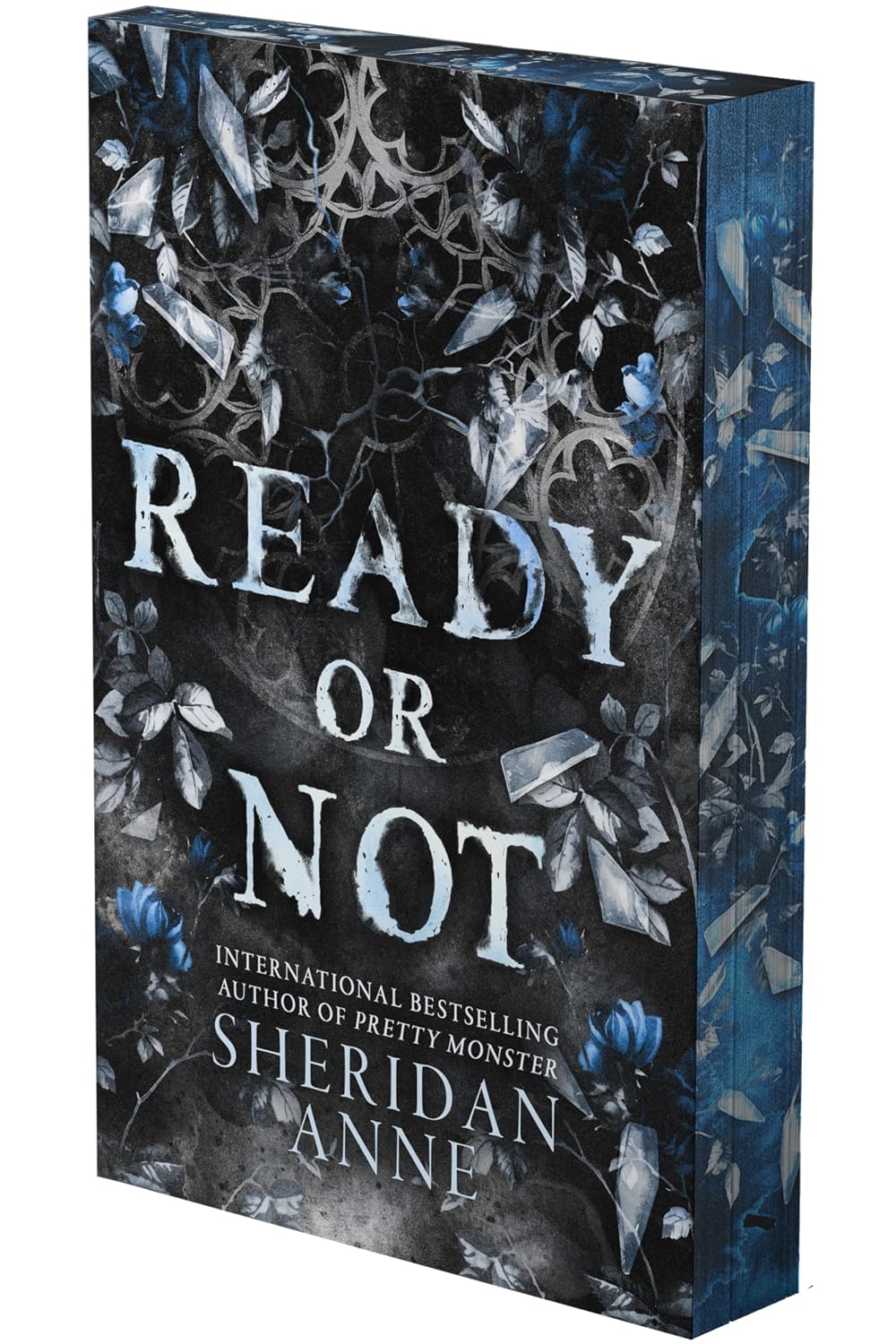 Ready or Not: A Dark Stalker Romance (Deluxe Limited Edition) (Hide and Seek, 2)