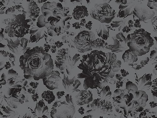 Lights Out Collector's Edition: An Into Darkness Novel Book Only