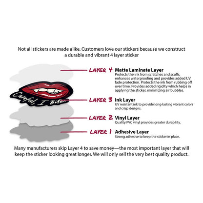 (10-Pack) A Little Wicked Decals