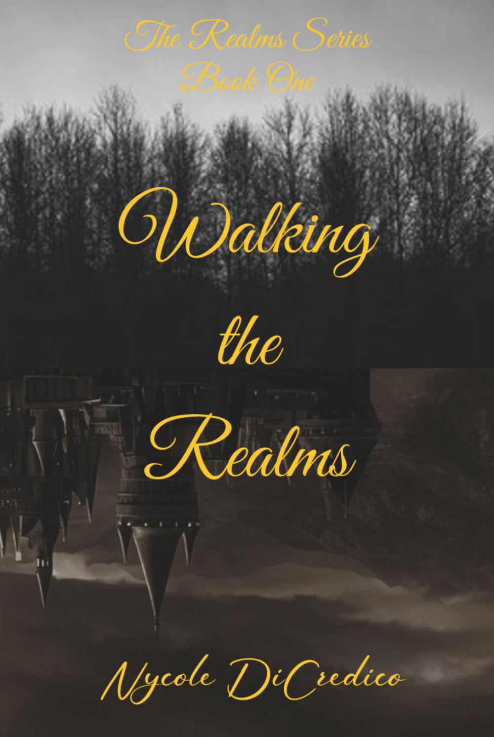 Walking the Realms (The Realms Series)