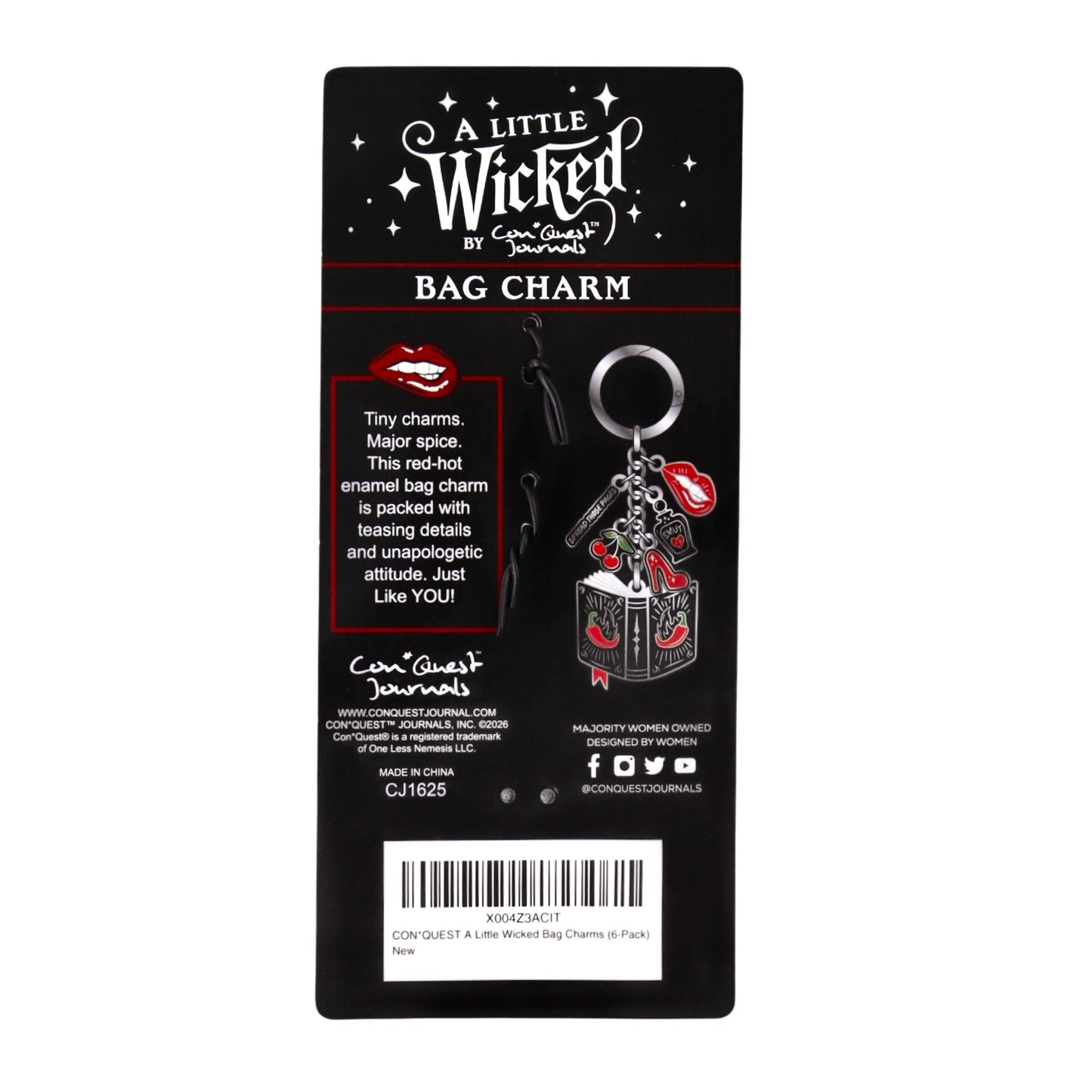 A Little Wicked Bag Charm