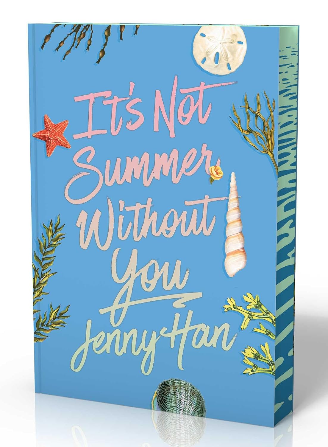 It's Not Summer Without You (Deluxe Edition) (The Summer I Turned Pretty)