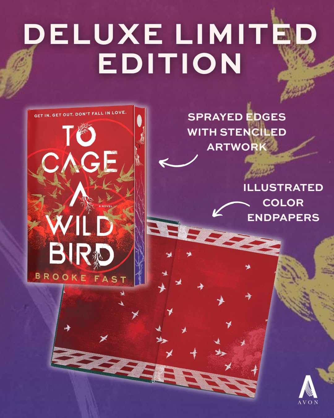 To Cage a Wild Bird (Deluxe Limited Edition): A Fast-Paced Novel of Forbidden Love and Survival in a Brutal Dystopian Prison (Divided Fates, 1)