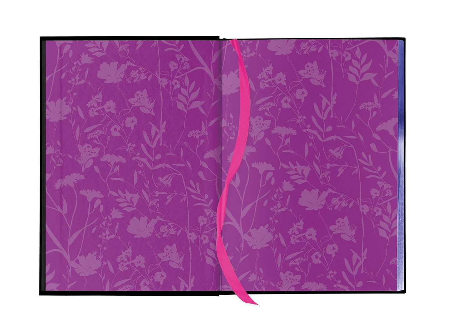 Fairy Tale Retellings, Volume I