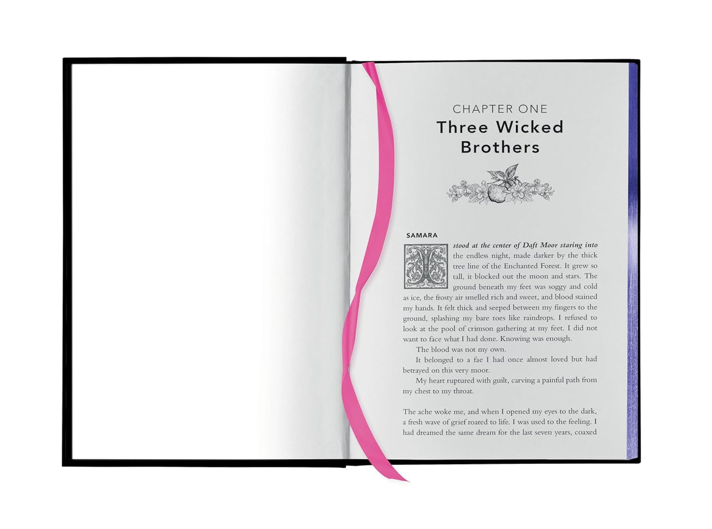 Fairy Tale Retellings, Volume I