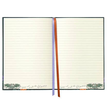 Throne of Glass: Abraxos Journal