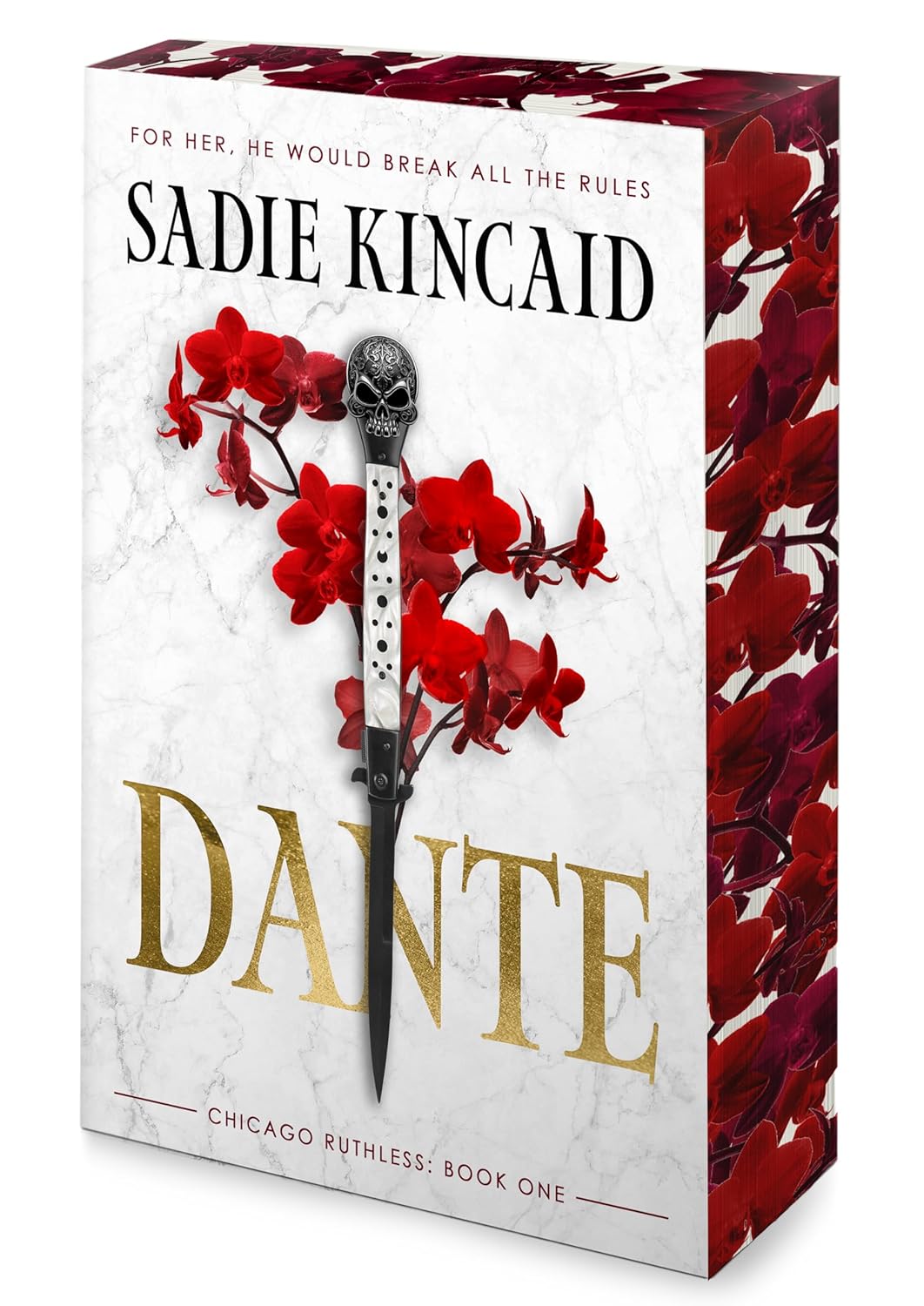 Dante: A Dark Mafia, Enemies to Lovers Romance (Chicago Ruthless, 1)