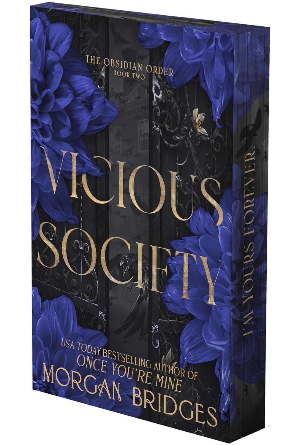 Vicious Society: A Dark Romance (The Obsidian Order Book 2)