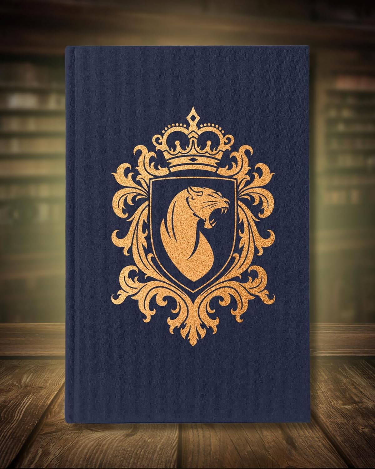 Nobody's Quest (The Nobody Chronicles, 1)