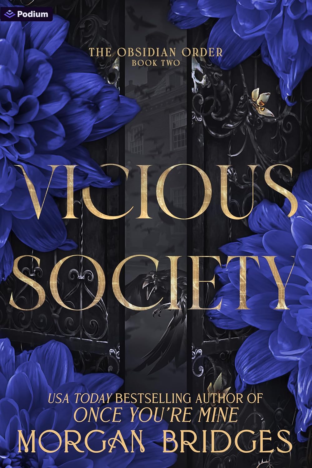 Vicious Society: A Dark Romance (The Obsidian Order Book 2)