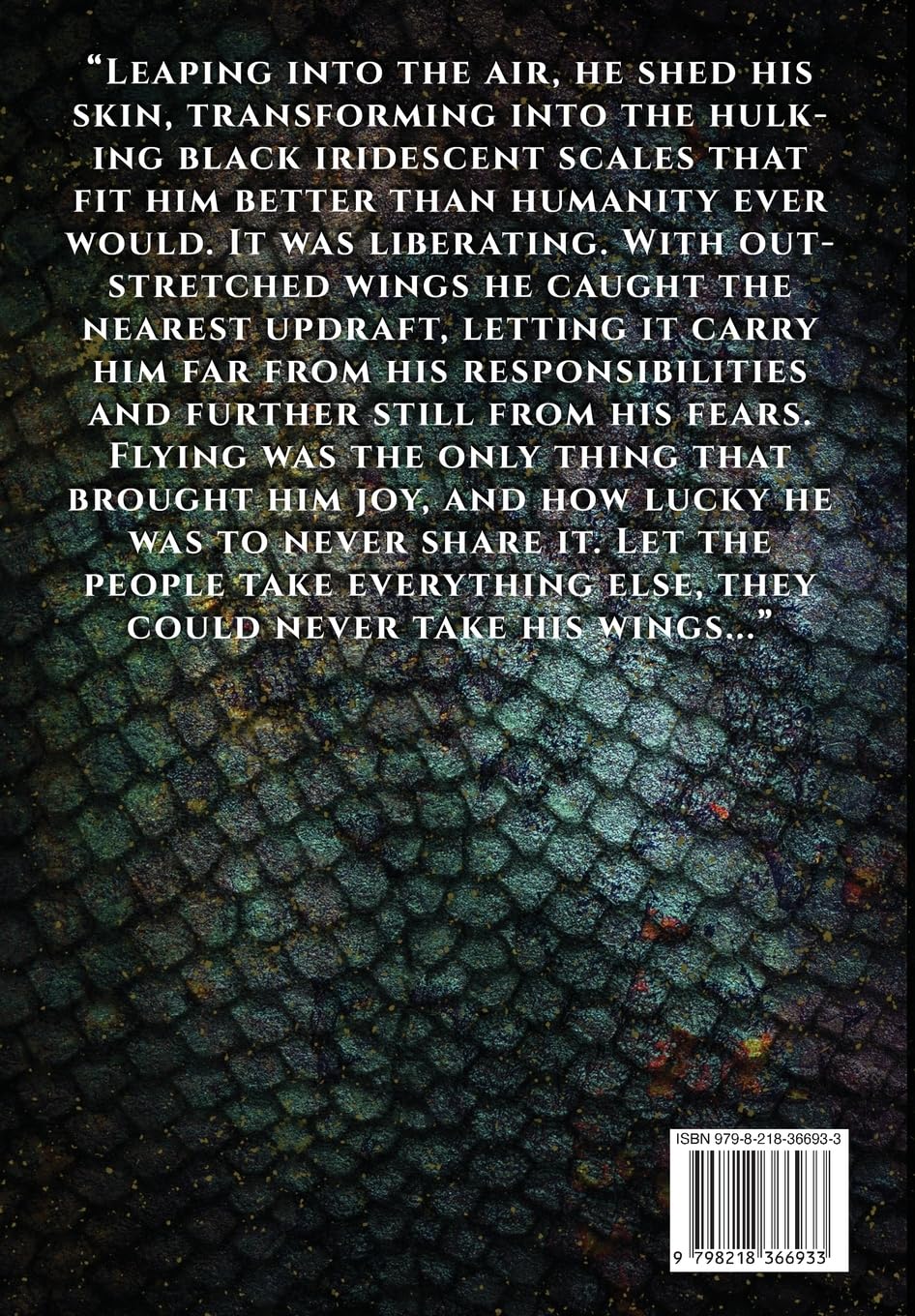 Talon the Black: A Slow Burn Fantasy Series (Dragonwall)