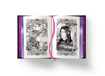 Fairy Tale Retellings, Volume I