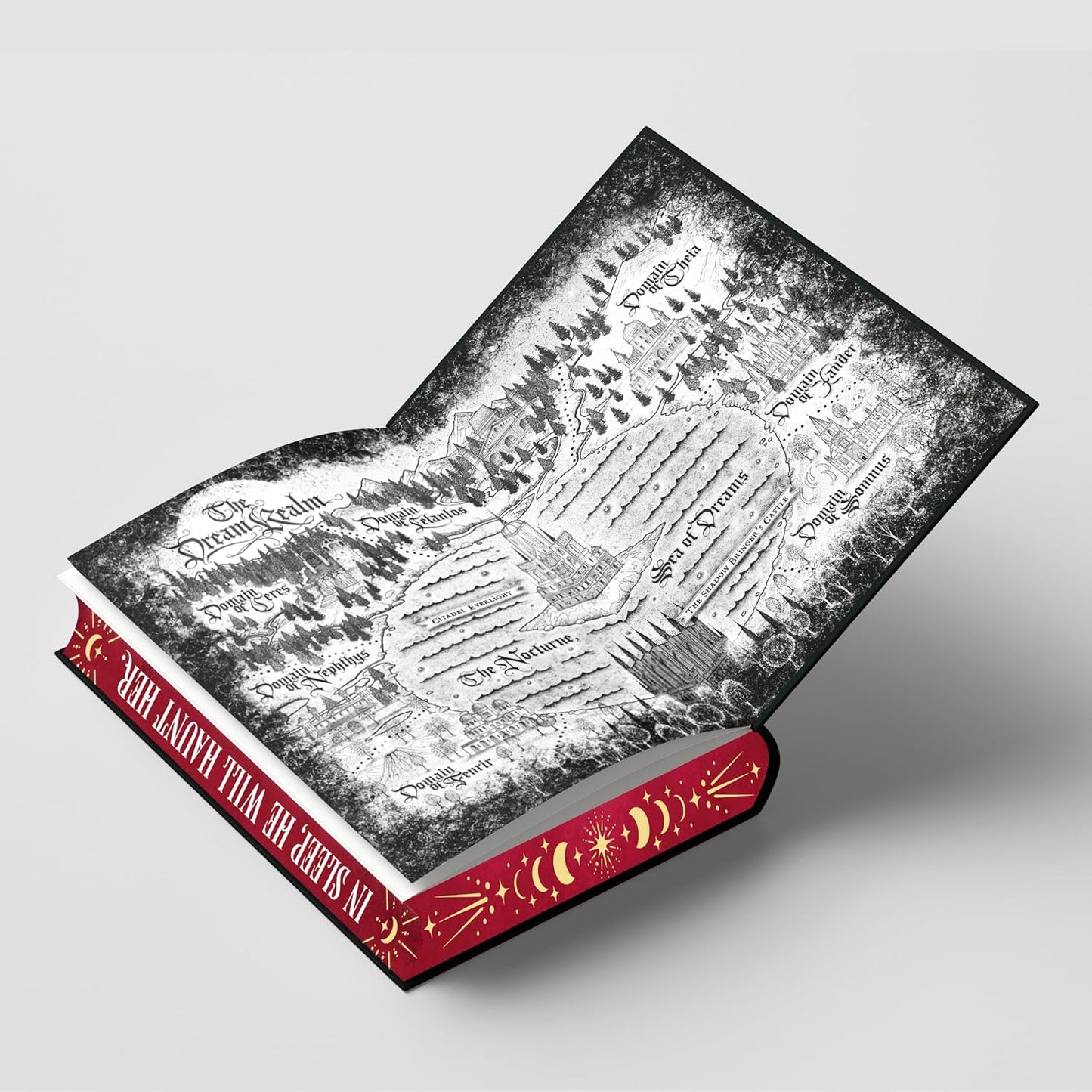 Dream by the Shadows (Deluxe Limited Edition) (The Shadow Weavers Duology, 1)