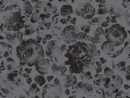 Lights Out Collector's Edition: An Into Darkness Novel Book Only