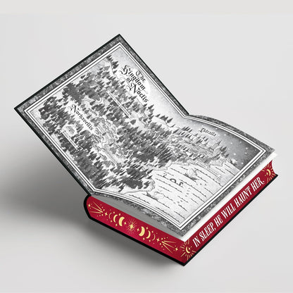 Dream by the Shadows (Deluxe Limited Edition) (The Shadow Weavers Duology, 1)