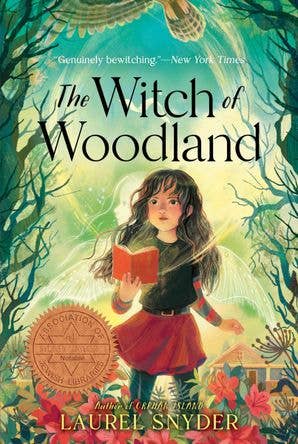 Witch of Woodland, The :  Laurel Snyder