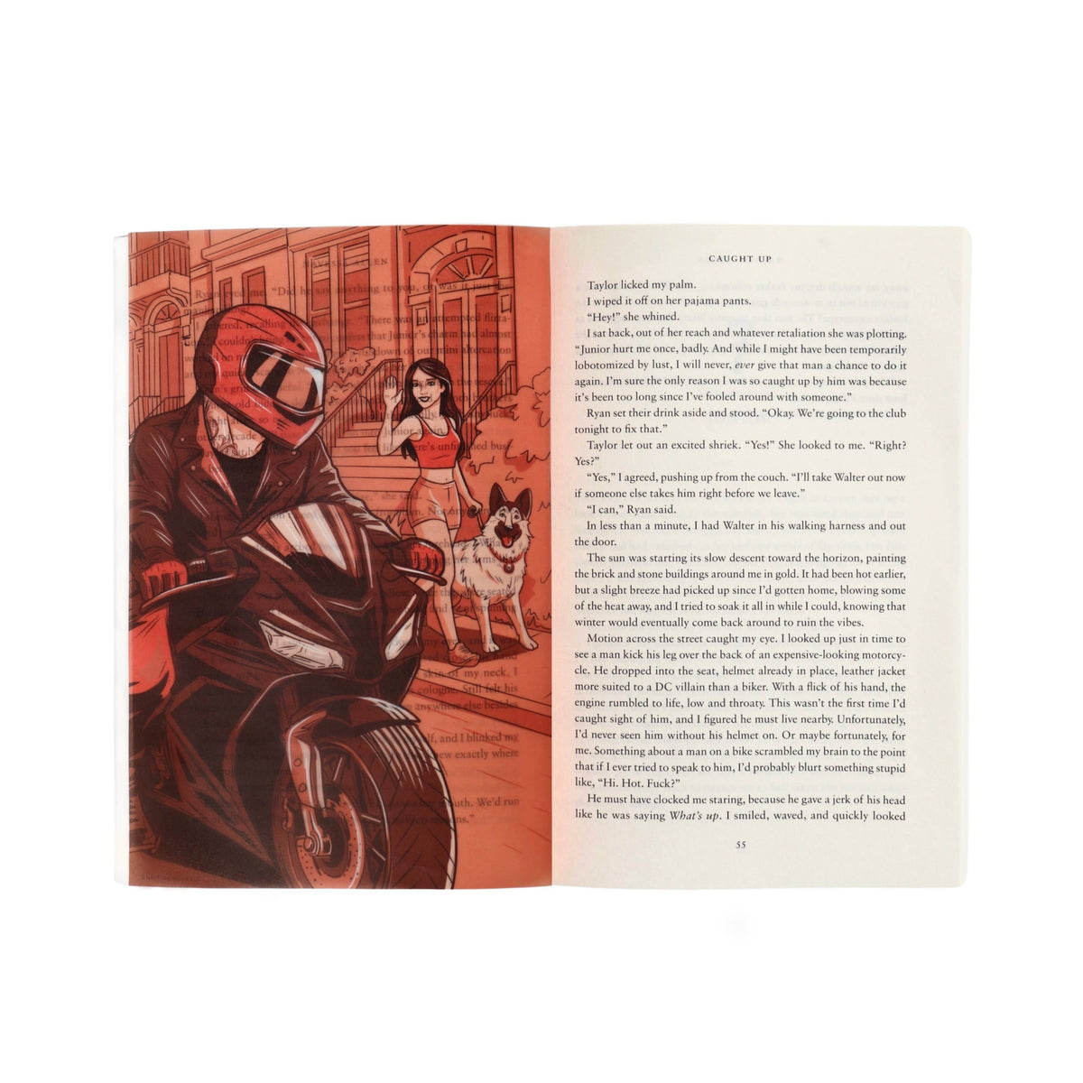 Caught Up Book Scene Illustrations (6-Pack)