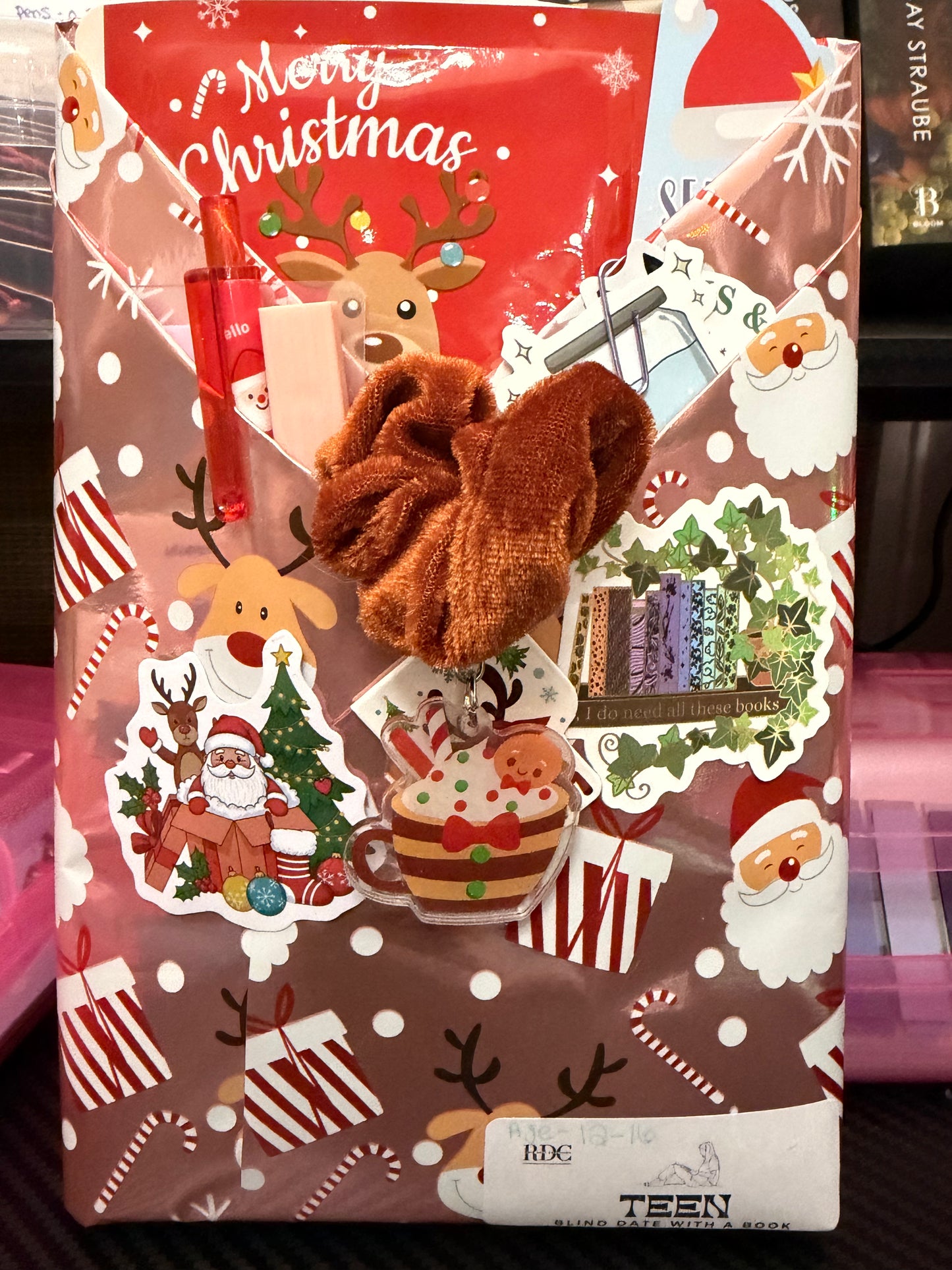 Christmas Blind Date With A Book