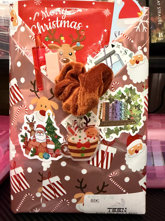 Christmas Blind Date With A Book